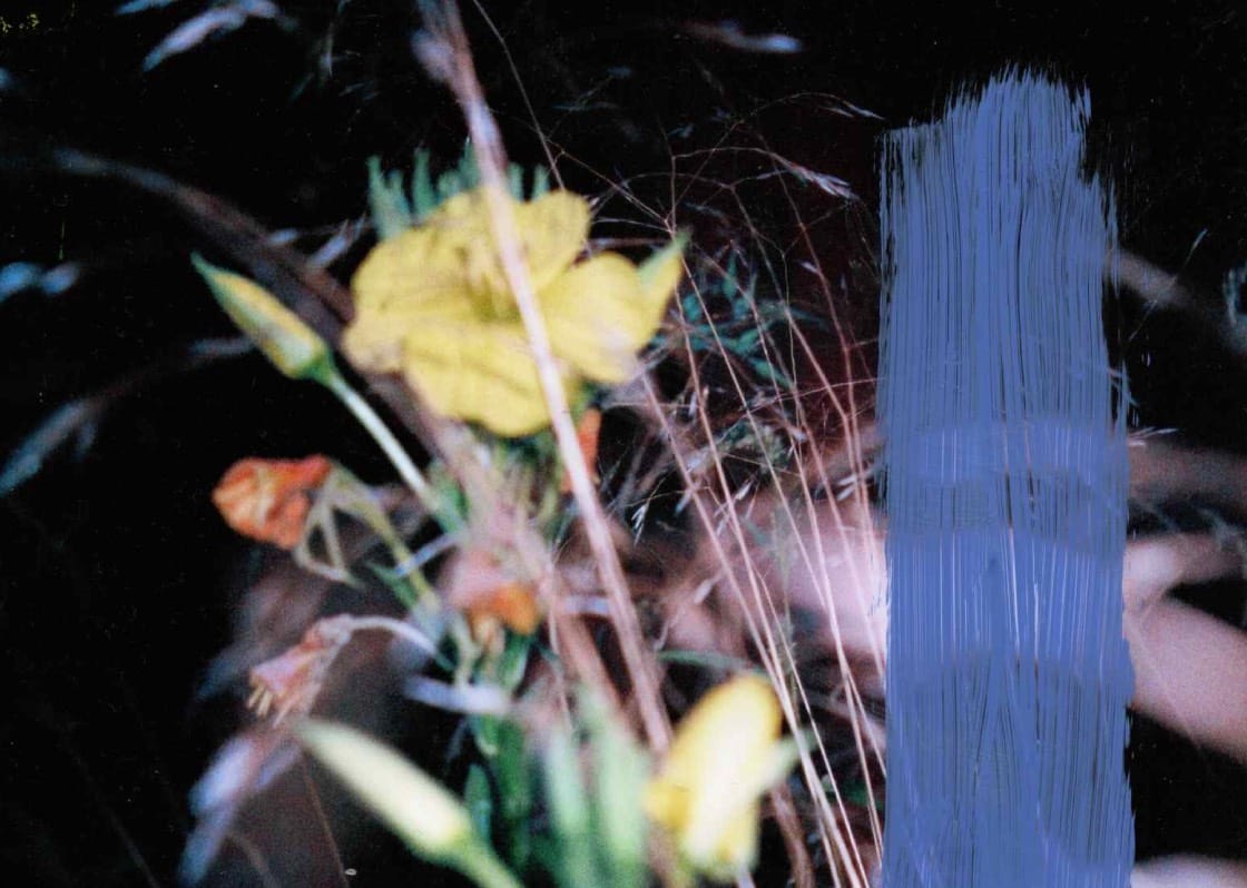 "Are you the leaf, the blossom or the bole?"