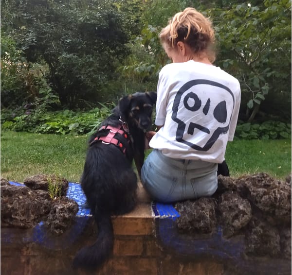 "... using paper straws while the rich take 9 minute flights ..."