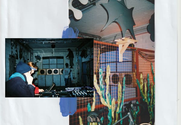 "… a queer-looking party that assembled on the bank …"