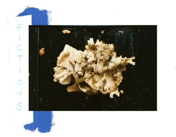 FICTIONS IS BACK 🦖🦖🦖