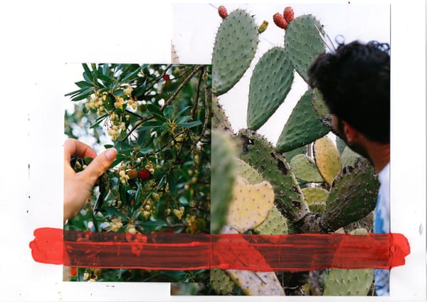 "In another life, dear sister, I too..."